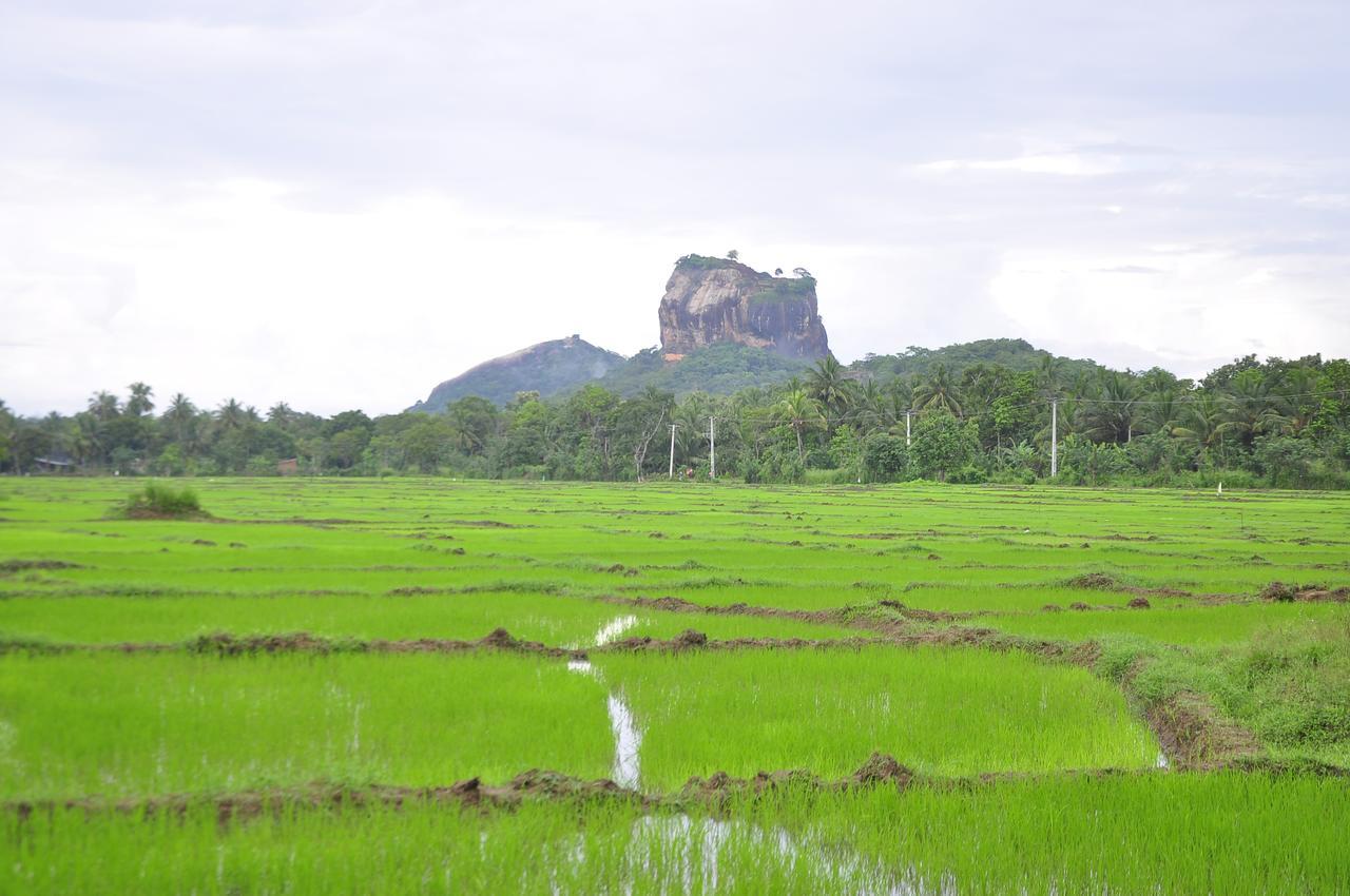 Rock Lake Home Stay Sigiriya Exterior photo